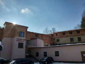 Отель Wellness Hotel Bozeňov  Забрех